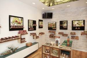 Catherine LEVI - INTERIEUR SINGULIER